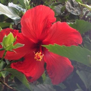 Meet your Posher, Nelda